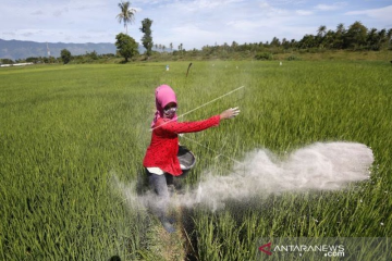 Legislator: Pengawasan pupuk subsidi harus diperketat di tingkat bawah