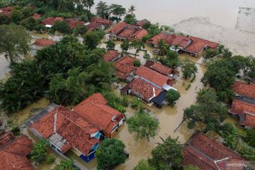 Dampak banjir di Pekalongan