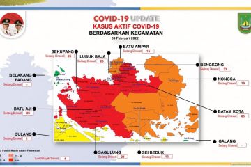 Kasus COVID-19 terus melonjak enam kecamatan di Batam zona merah