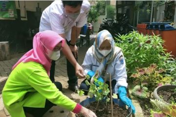 Pemkot Jaktim harapkan warga serius budidayakan anggur