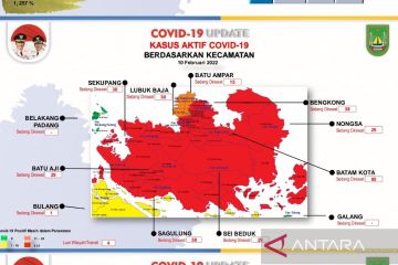 Nyaris seluruh Pulau Batam zona merah COVID-19