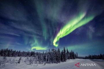 Mengenal fenomena alam si cantik Aurora