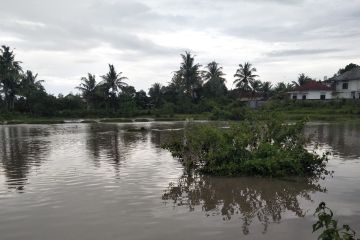 Ratusan rumah warga di Lombok Tengah tergenang banjir