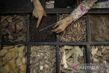 Ramuan Tanaman Herbal Untuk Kesehatan