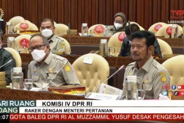 Komisi IV DPR setujui buka blokir anggaran Kementan Rp147,3 miliar