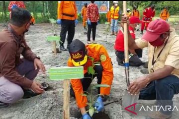 Basarnas-Freeport tanam pohon bintangur di area pengendapan "tailing"