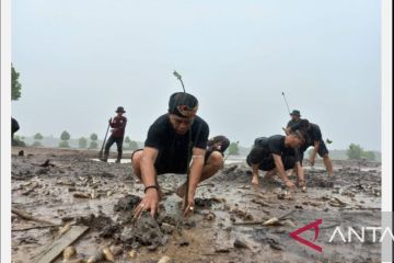 Persemaian permanen modern mangrove pertama di Indonesia akan dibangun