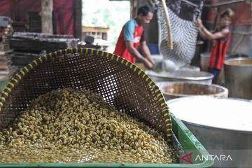 Harga kedelai naik, produsen tahu tempe mogok produksi pekan depan