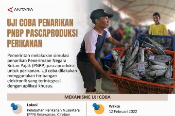 Uji coba penarikan PNBP pascaproduksi perikanan