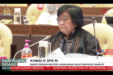 KLHK siapkan kawasan koridor satwa di IKN Nusantara