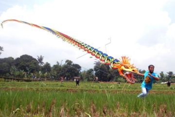 Festival layang-layang usai panen di Bogor