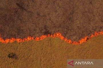 Kebakaran cagar alam di Argentina