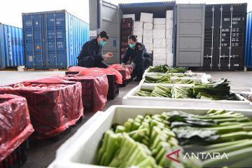 Pasokan sayur ke Hong Kong yang tengah dilanda gelombang baru COVID-19