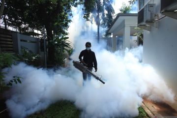 Lahan kosong jadi penyebab tingginya kasus DBD di Jakarta Selatan