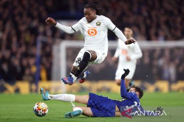 Penyerang Lille fokus leg kedua kontra Chelsea