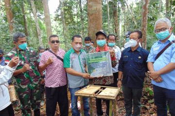 Petani sawit-swasta deklarasi perlindungan hutan stok karbon tinggi