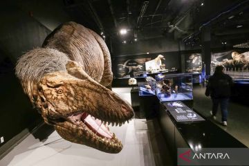 Hoaks! Video tampilkan dinosaurus terlahir kembali