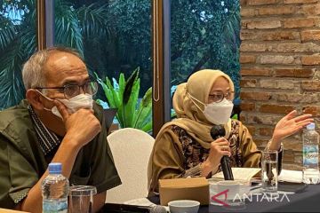 Kemenko Perekonomian: Harga kedelai global naik 18,9 persen