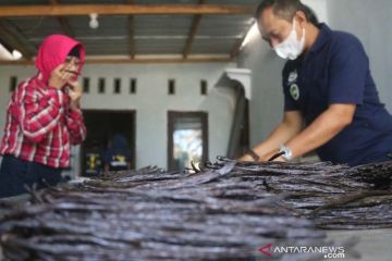 NTB siapkan Desa Tete Batu jadi sumber benih vanili unggul