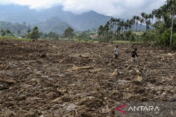 Pencarian korban longsor di Pasaman