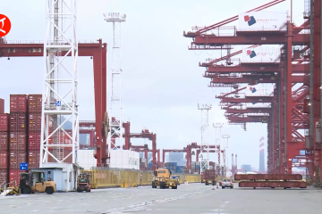 Pelabuhan Shenzhen optimalkan transportasi jamin pasokan ke Hong Kong