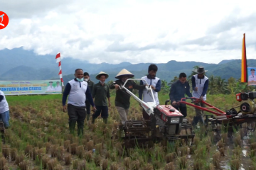 Pemkab Tanah Datar luncurkan program bajak sawah gratis bagi petani