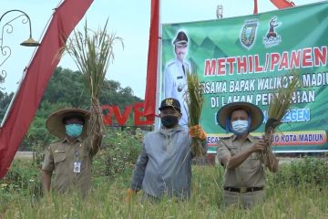 Pemkot Madiun sediakan anggaran Rp1 miliar untuk subsidi pupuk