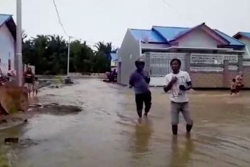 Sejumlah wilayah di Papua kembali dilanda banjir