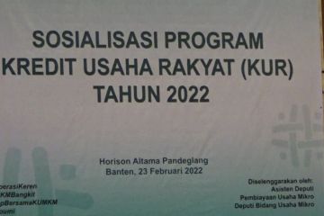 Penyerapan rendah, Kemenkop-UKM ajak UMKM Pandeglang manfaatkan KUR