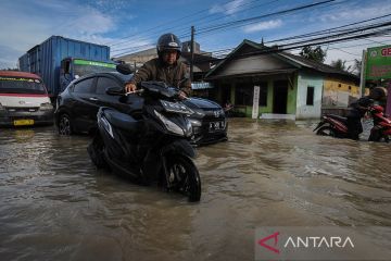 BNPB: Banjir rendam 50 rumah di Kabupaten Pandeglang