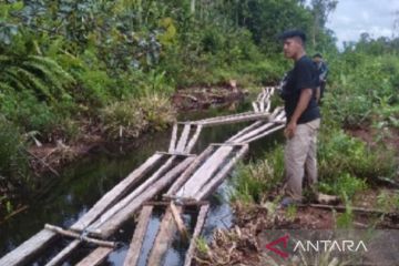 Polda Jambi menemukan pembalakan liar, amankan ratusan batang kayu