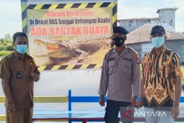 Pencari kayu galam di Pulang Pisau Kalteng tewas diduga diserang buaya