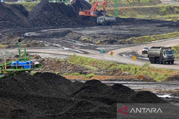 Dinas: Cadangan batu bara di Aceh capai 1,5 miliar metrik ton