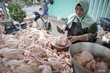Pemerintah jaga stabilitas harga daging dan telur ayam ras