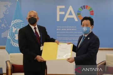 Dubes RI serahkan surat kepercayaan kepada Dirjen FAO