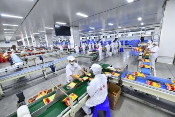 Industri makanan China tumbuh stabil dalam produksi dan penjualan 2021