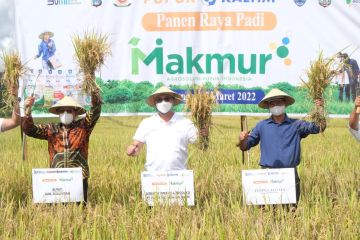 Program Makmur PKT tingkatkan poduktivitas padi hingga 150 persen