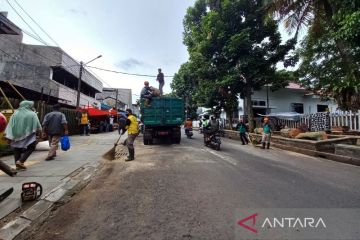 BPBD Bogor: Penanganan pohon tumbang selesai, Jalan MA Salmun lancar