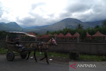 BKSDA: Usulan Cagar Alam Gunung Guntur jadi TWA masih dievaluasi