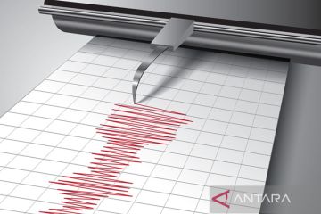 Gempa bumi Magnitudo 3,7 terjadi di Manokwari Selatan