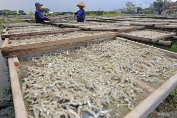 BI catat perbankan salurkan kredit Rp5.741,5 triliun pada Februari