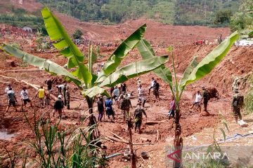 AMPU-PB sayangkan penghentian sementara pembahasan RUU PB