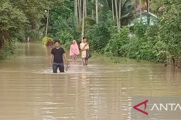 BPBA: Dua kecamatan di Aceh Utara terendam banjir 2.243 jiwa terdampak