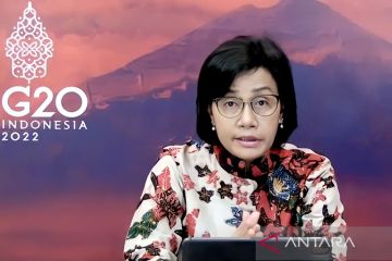 Sri Mulyani: Gejolak global jadi tantangan pengembangan pasar karbon