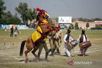 Lenggak lenggok kuda dan unta pada pameran ternak di Lahore
