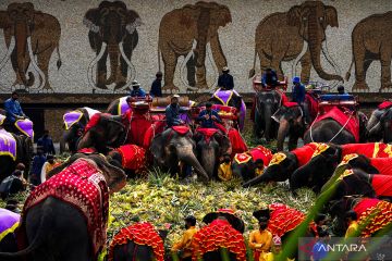 Hari gajah di Thailand