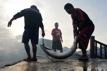 KKP: Perizinan usaha budi daya perikanan Indonesia ikuti panduan FAO