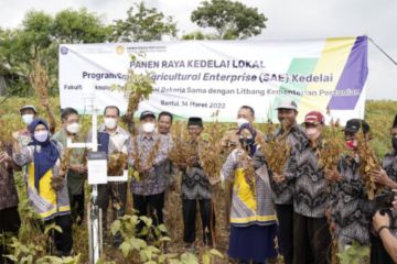 UGM-Kementan kembangkan Smart Agricultural Enterprise Kedelai