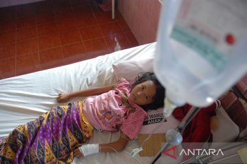 Kasus gigitan nyamuk malaria di Penajam Paser Utara tinggi