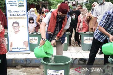 Sandiaga gulirkan program budidaya lele dalam ember di Petamburan